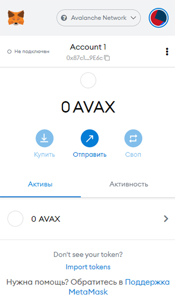Metamask подключенный к Avalanche