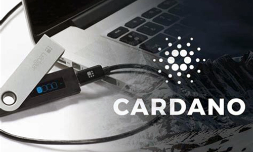Ledger добавил поддержку 100 токенов из сети Cardano