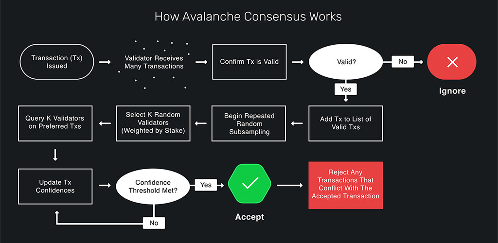 Avalanche software проекты