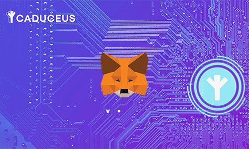 Metamask к сети Caduceus