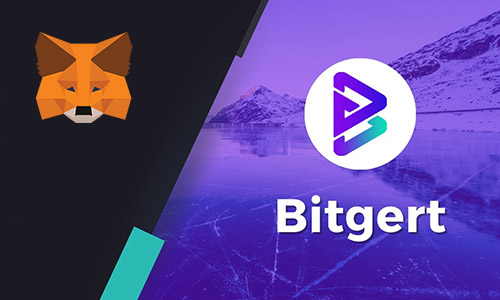 Metamask Bitgert