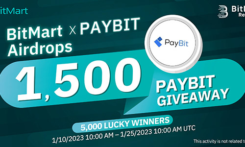 PAYBIT