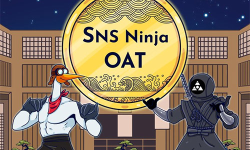 SNS Ninja