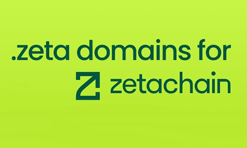 DotZeta Domains
