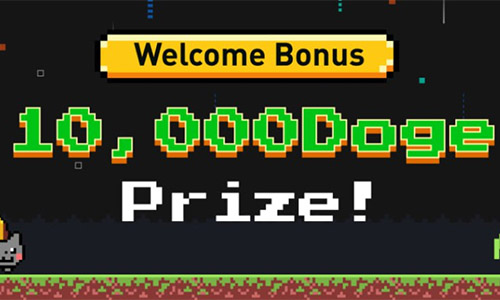 40 DOGE