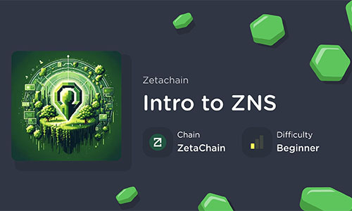 Intro to ZNS NFT