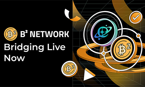 Межсетевой мост B2 Network
