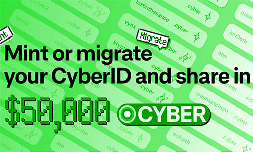 Cyber ID Campaign