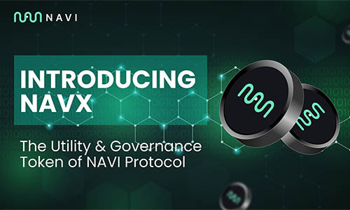 Токен NAVX