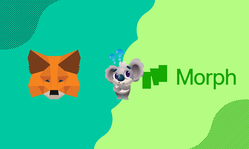 Metamask Morph