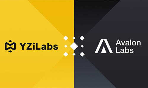 YZi Labs инвестирует в Avalon
