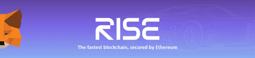 Как добавить сеть Rise в Metamask?