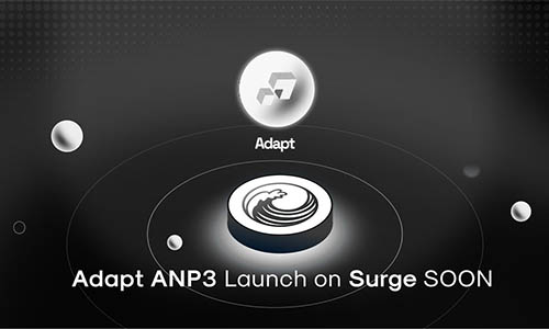 Adapt будет запущен на платформе Surge в сети Sui