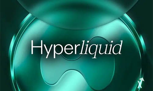 Hyperliquid Strategies стремится привлечь $1 млрд. для покупки HYPE