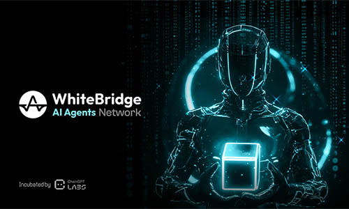 Токен WhiteBridge (WBAI)