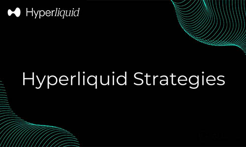 Hyperliquid Strategies планирует выкуп акций на сумму $30 млн.