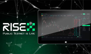 Тестнет RISEx