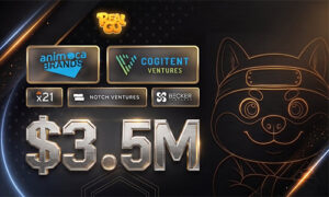 RealGo привлекла $3,5 млн. при поддержке Animoca Brands