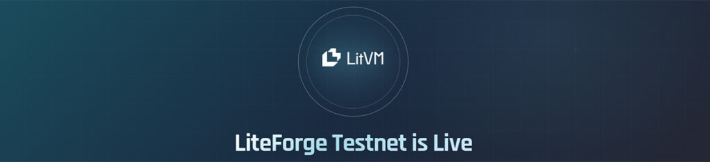 Подробный гайд по тестнету LitVM