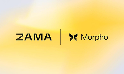 Хранилище ZAMA в USDC занимает 8-е место на Morpho