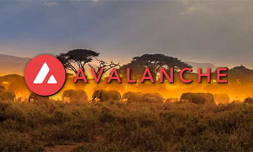 Кения использует Avalanche для проверки студенческих дипломов
