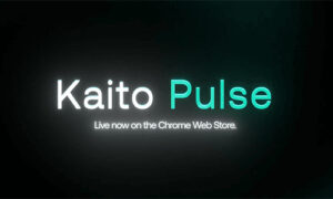 Kaito Pulse вызывает вопросы о конфиденциальности