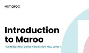 Maroo Testnet