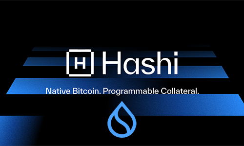 Hashi привлекает $500 млн. для развития BTCfi на Sui