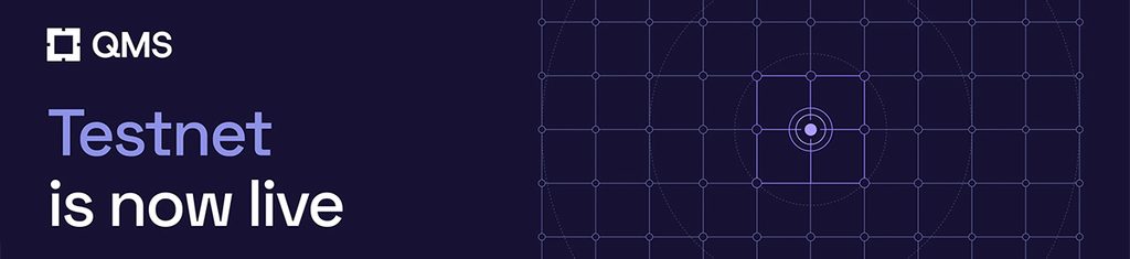 Подробный гайд по тестнету QMS Network